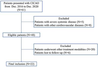 Hybrid surgery recanalization for high-level chronic internal carotid artery occlusion